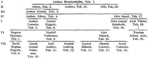 Munsterhjelm A179600.jpg