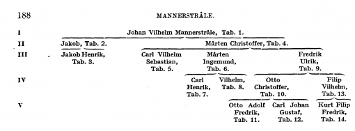 Mannerstråle A206900.png