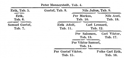 Mannerstedt översikt.jpg